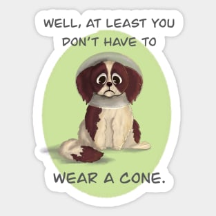 Cone of Shame Sticker